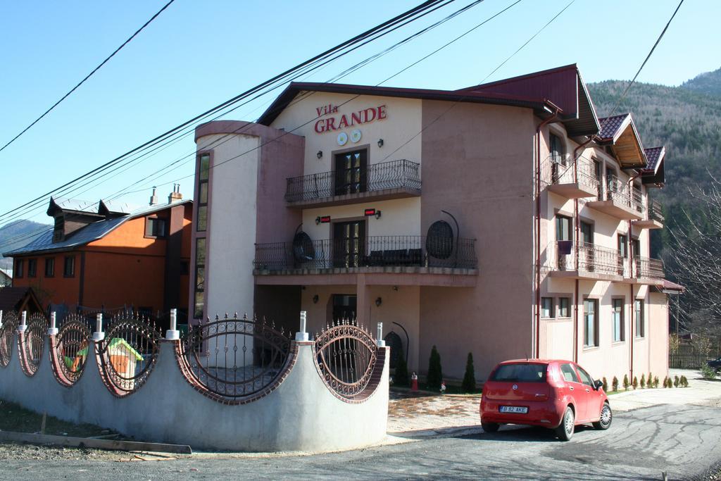 Pensiunea Grande Lepşa Exteriér fotografie